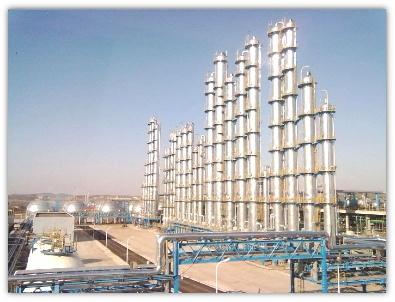 Fushun 150,000-ton/year Cracking C5 Separation and 40,000-ton/year Isobutyl Rubber Co-production Project